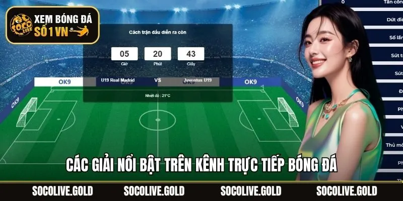 Các giải nổi bật trên kênh trực tiếp bóng đá