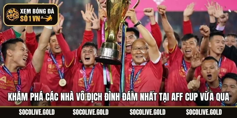 Khám phá các nhà vô địch đình đám nhất tại AFF Cup vừa qua