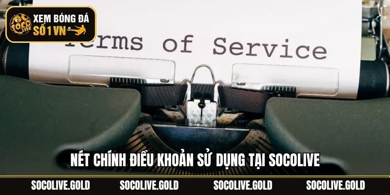 Nét chính điều khoản sử dụng tại Socolive