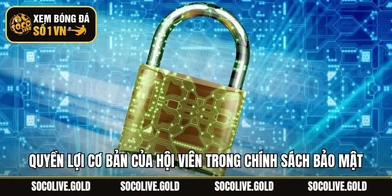 Quyền lợi cơ bản của hội viên trong chính sách bảo mật