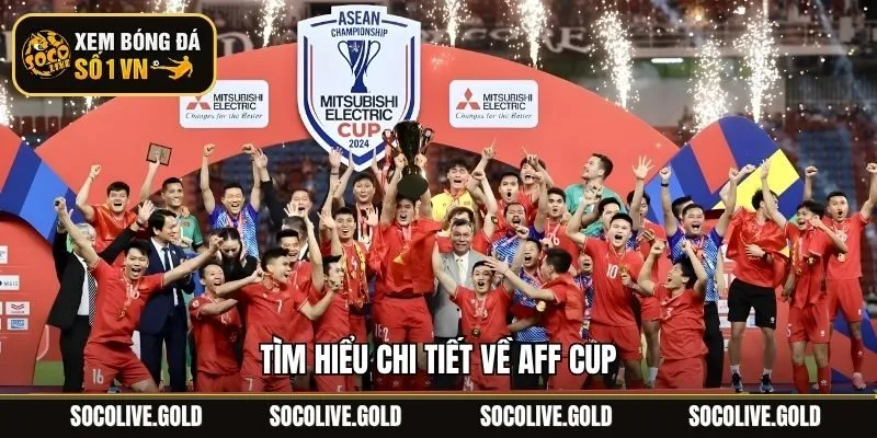 Tìm hiểu chi tiết về AFF Cup