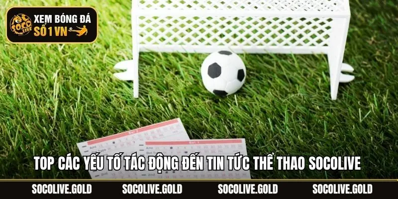 Top các yếu tố tác động đến tin tức thể thao socolive