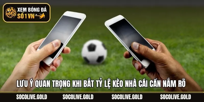 Lưu ý quan trọng khi bắt tỷ lệ kèo nhà cái cần nắm rõ 