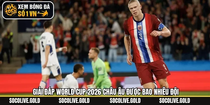 Tìm hiểu sơ lược World cup 2026 châu Âu được bao nhiêu đội