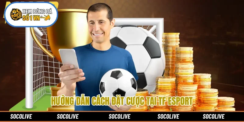 Hướng dẫn cách đặt cược tại TF Esport 