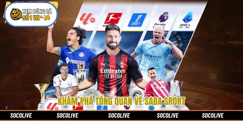 Khám phá tổng quan về Saba Sport 