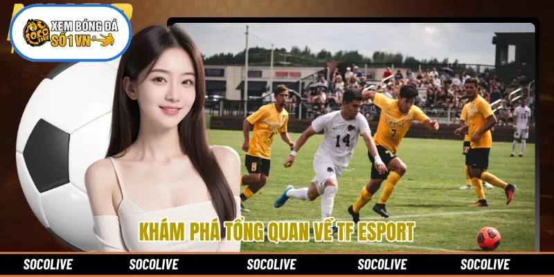 Khám phá tổng quan về TF Esport 
