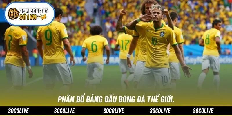 Phân bổ bảng đấu bóng đá thế giới.