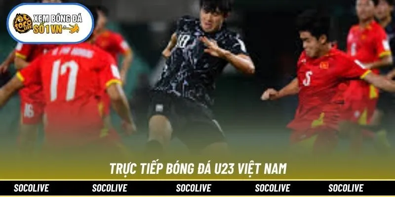 Trực Tiếp Bóng Đá U23 Việt Nam: Link Xem Mượt Mà 