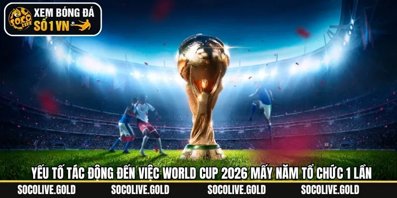 Yếu tố ảnh hưởng đến chu kỳ WC 2026